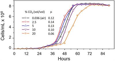 Effect of CO2 Concentration on Uptake and Assimilation of Inorganic Carbon in the Extreme Acidophile <mark class="highlighted">Acidithiobacillus ferrooxidans</mark>